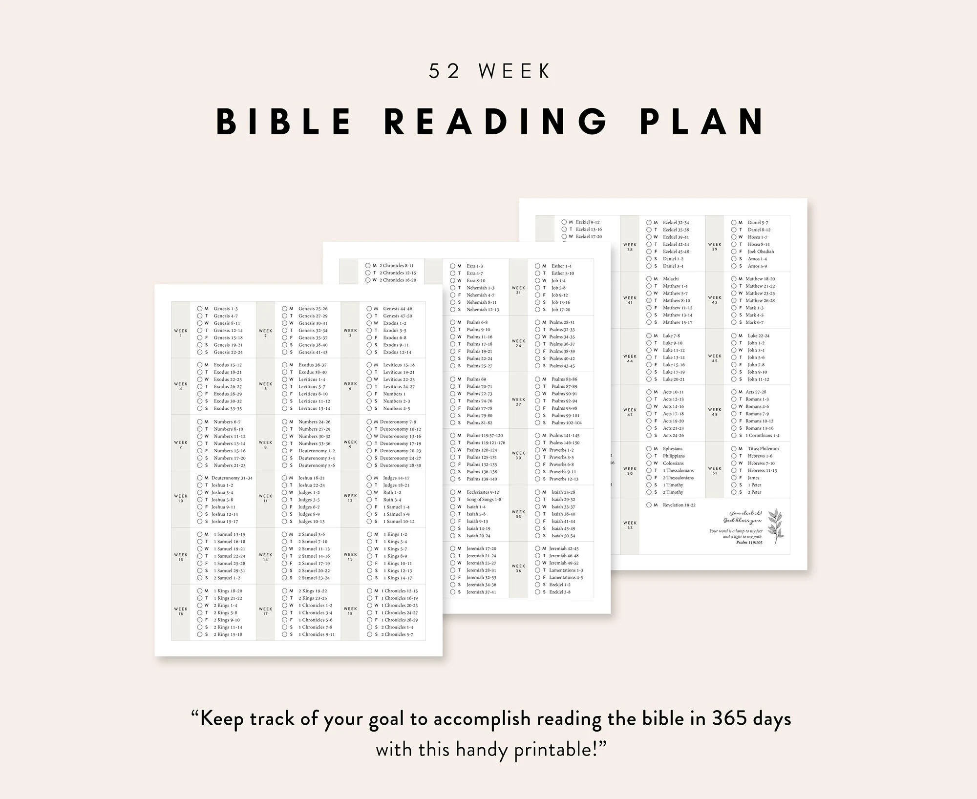 Bible Reading Plan 52 Week Bible Reading Plan 365 Days Bible Reading Weekly Bible Plan Digital Printable Etsy