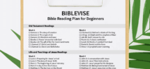 Bible Reading Plan For Beginners With Printable PDF