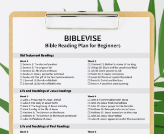 Bible Reading Plan For Beginners With Printable PDF