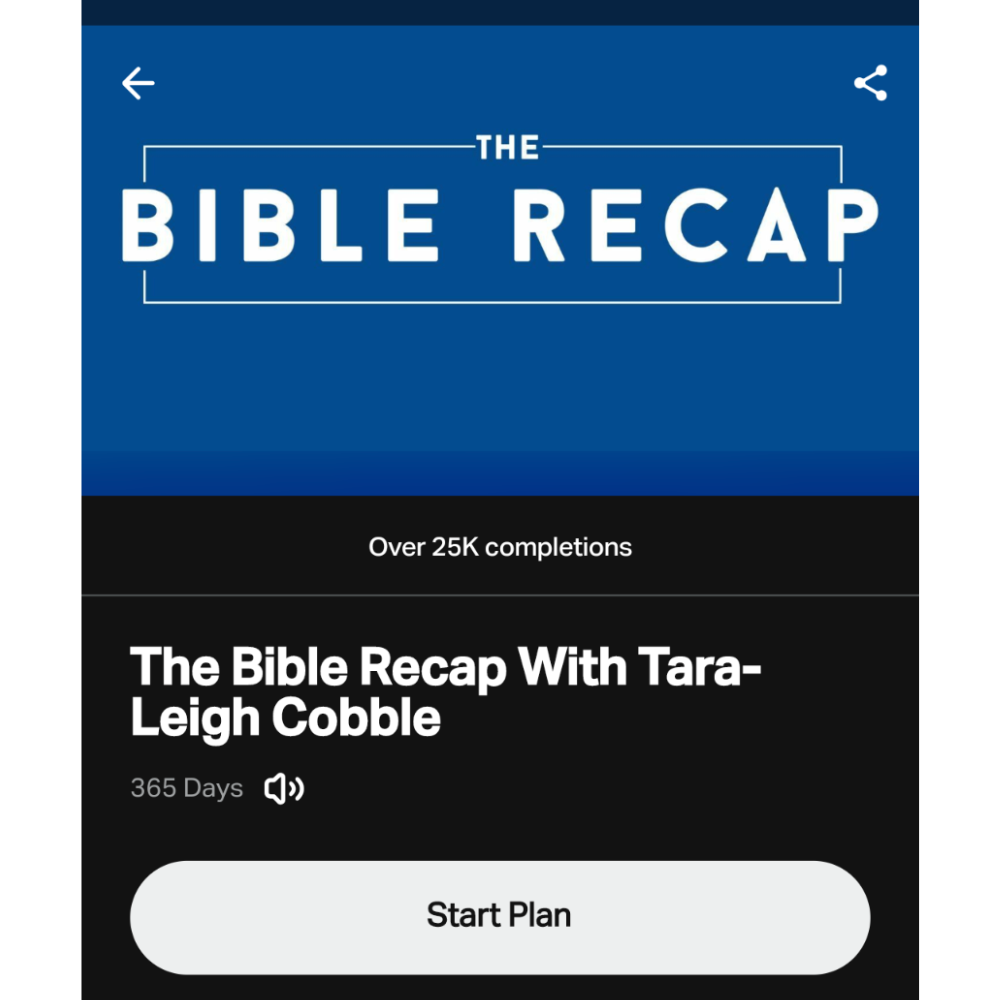 The Bible Recap Printable Reading Plan