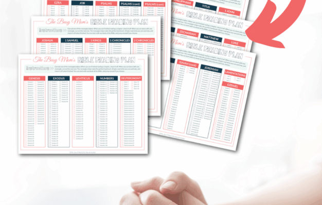 Bible Reading Plan Printable For Busy Moms My Joy Filled Life