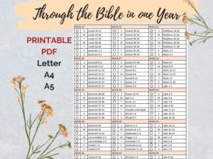 bible reading planner in one year calendar one year printable 2025 etsy