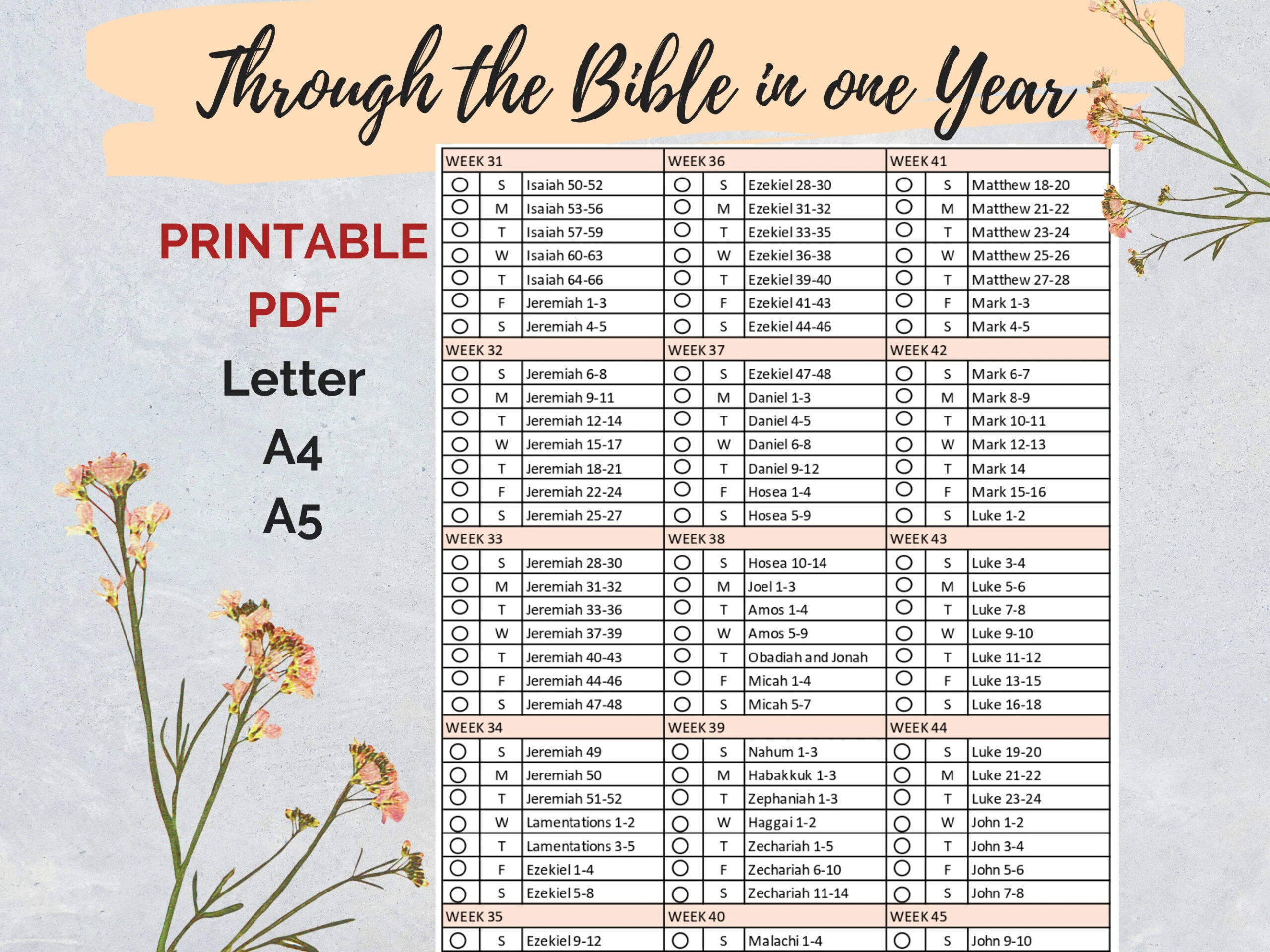Bible Reading Planner In One Year Calendar One Year Printable 2025 Etsy