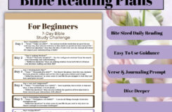 Bible Reading Plans By Theme Daily Verse U0026 Journaling Prompt Beginner friendly Bible Study Sheets Bible Digital Print Bible Planner Etsy