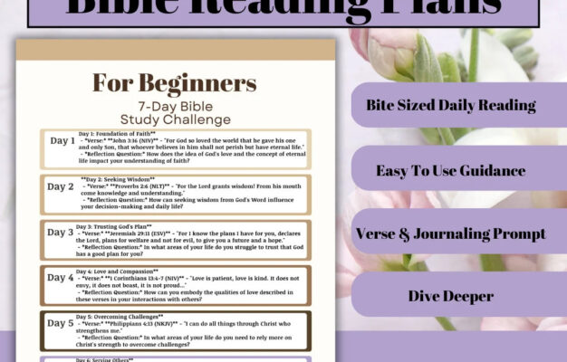 Bible Reading Plans By Theme Daily Verse U0026 Journaling Prompt Beginner friendly Bible Study Sheets Bible Digital Print Bible Planner Etsy