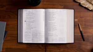 Bible Reading Plans For 2025