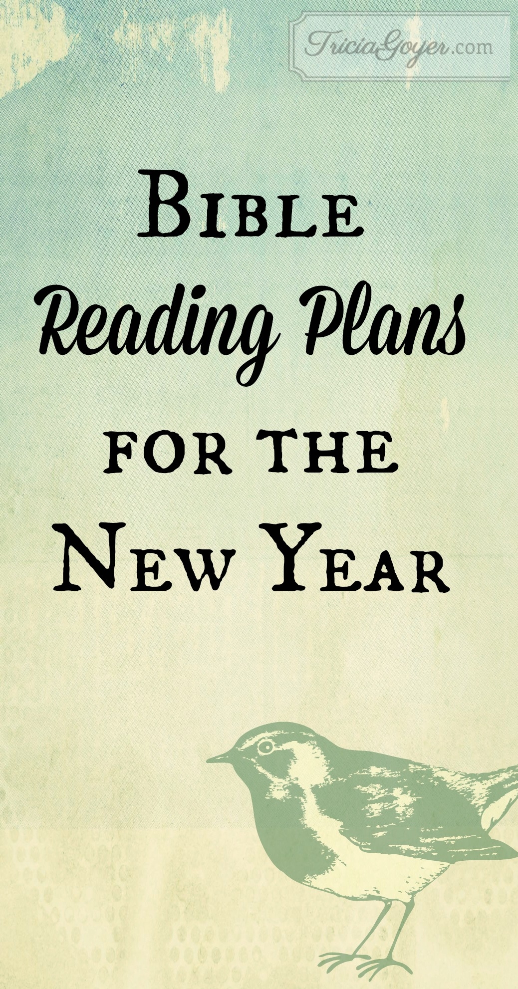McCheyne Bible Reading Plans Printable Free