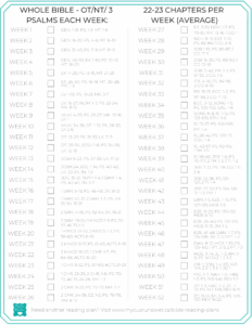 bible reading plans should you read the bible in one year