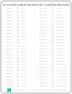 bible reading plans should you read the bible in one year