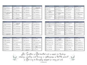 Bible Reading Tracker Chronological Bible Plan Printable Daily Bible Study Christian Instant Download One Year Reading Plan Etsy