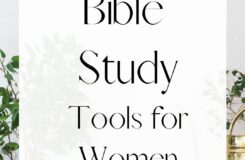 Bible Studies For Women On Pinterest