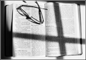 Bible Studies Michelle Lesley