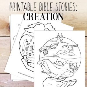 Bible Study Creation Story Kids Coloring Bible Printable Homeschool Family Bible Study Coloring Pages Etsy