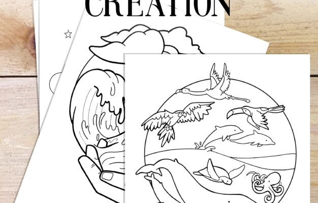 Bible Study Creation Story Kids Coloring Bible Printable Homeschool Family Bible Study Coloring Pages Etsy