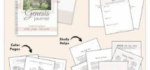 Bible Study Devotional Resources Calming Grace