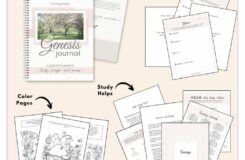 Bible Study Devotional Resources Calming Grace