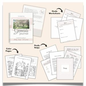 Bible Study Devotional Resources Calming Grace