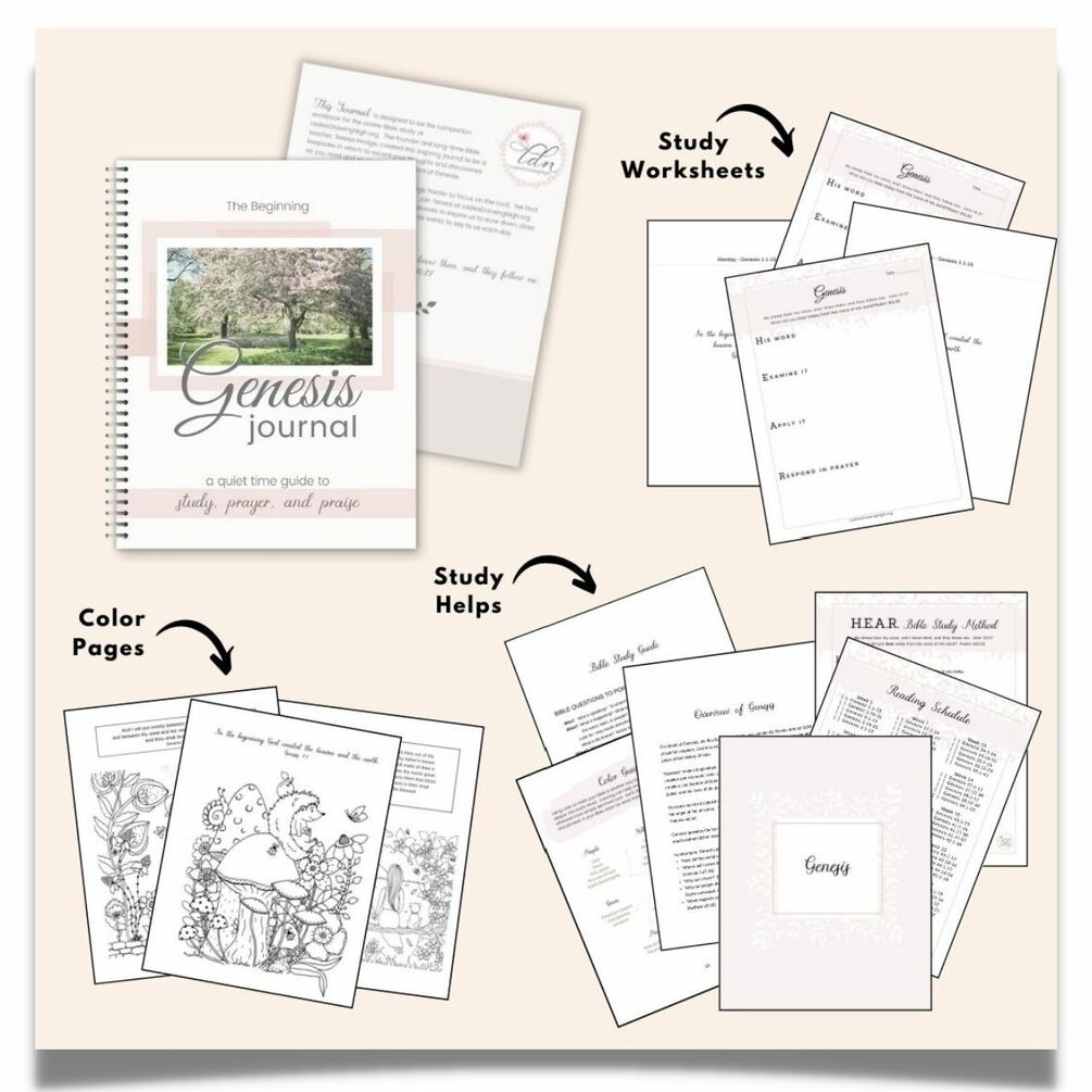 Free Printable Genesis Bible Study Worksheets