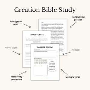 Bible Study For Older Kids Story Of Creation