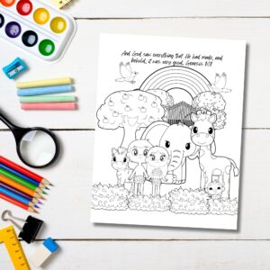 Bible Study For Older Kids Story Of Creation