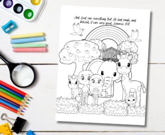 Bible Study For Older Kids Story Of Creation