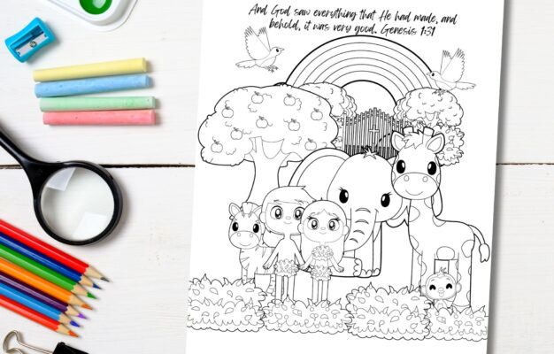Bible Study For Older Kids Story Of Creation