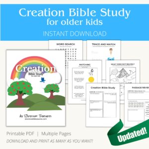 Bible Study For Older Kids Story Of Creation