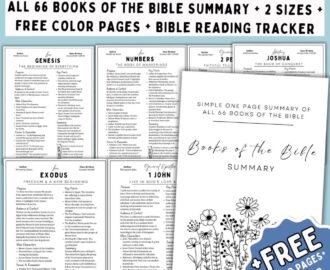Bible Study Guide Bible Study Tool Books Of The Bible Summary Sheets Printable Scripture Study Old New Testament Bible Reading Tracker Etsy
