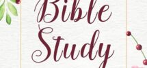 Bible Study Journal Watercolor Floral Cover Design 3 Month For Daily Journal Bible Study Workbook Christian Workbook Christian Journals For Women To Write In Studios Rosa 9781097674602 Amazon Books