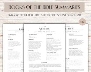 Bible Study Made Simple Bible Book Summary Guide All 66 Books