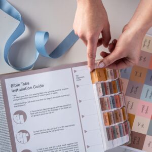 Bible Study Supplies Aazon co DiverseBee Lainated Bible Tabs
