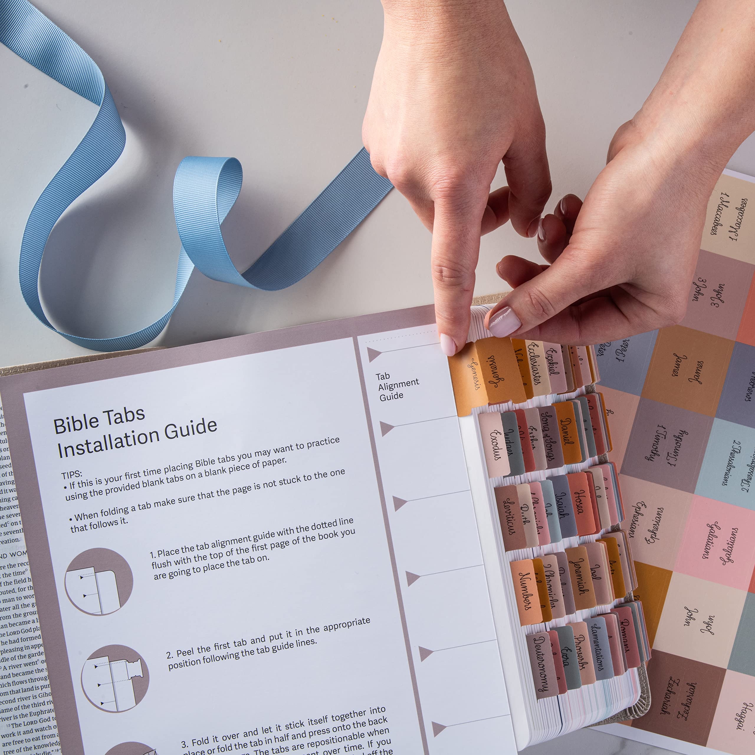 Bible Study Supplies Aazon co DiverseBee Lainated Bible Tabs 