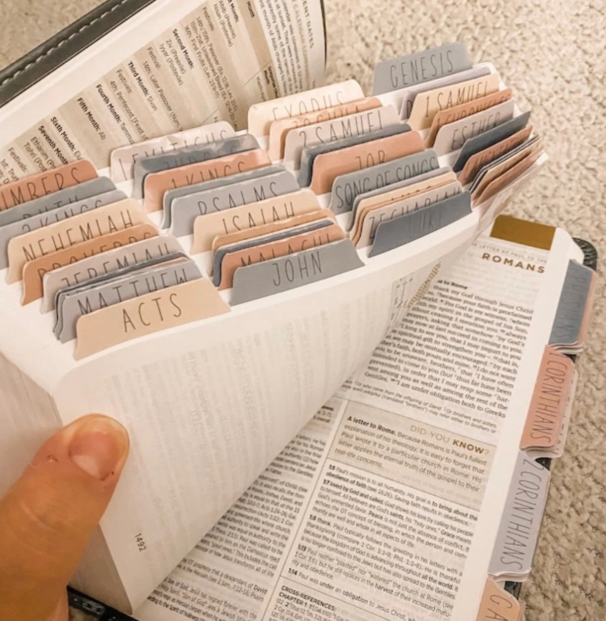 Bible Tab Placement Guide Printable
