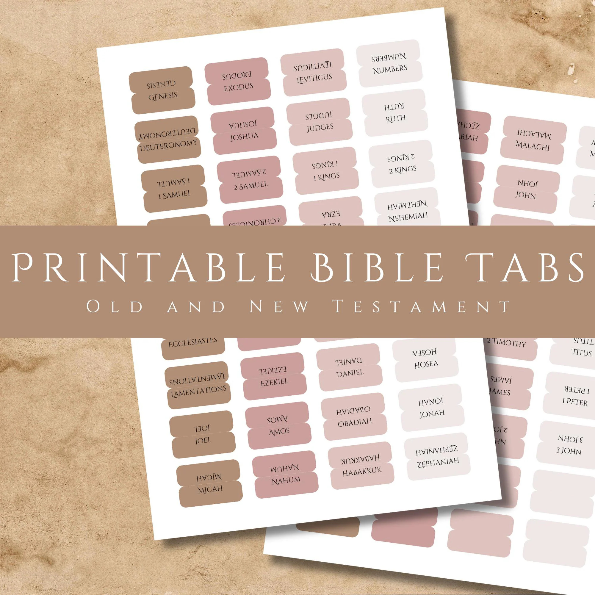 Bible Tab Placement Guide Etsy New Zealand