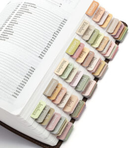 Bible Tabs For Women 66 Laminated Bible Book Tabs Old And New Testament Bible Index Labels Boho Theme Bible Journaling Study Supplies Walmart