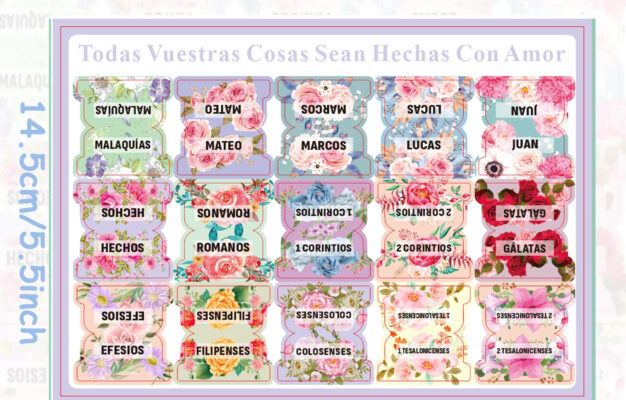 Bible Tabs In Spanish Pastel Bloom Spanish Bible Tabs Spanish New Old Testament BibleTabs Large Laminated Floral Design Bi AliExpress