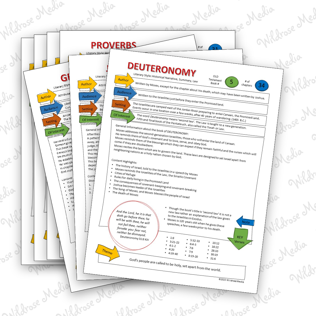 Bible Teaching Sheets The Old Testament KJV Edition Wildrose Media