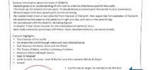 Bible Teaching Sheets The Old Testament NIV Edition Wildrose Media