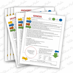 Bible Teaching Sheets The Old Testament NIV Edition Wildrose Media