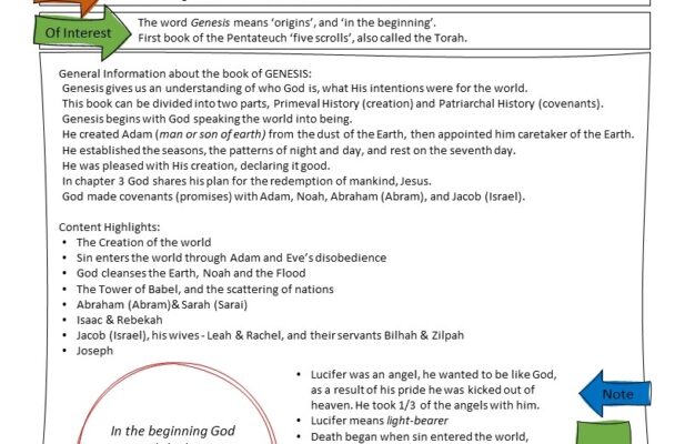 Bible Teaching Sheets The Old Testament NIV Edition Wildrose Media