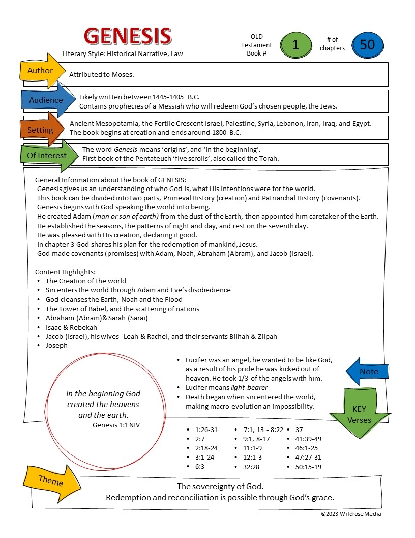 Bible Teaching Sheets The Old Testament NIV Edition Wildrose Media