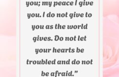 Bible Verses For Christian Moms Families With Grace