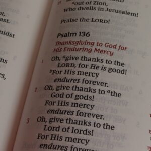 Bible Verses For Thanksgiving And Gratitude KJV