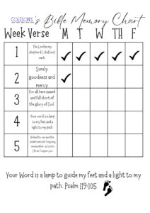BLANK Bible Verse Memory Chart kids Bible Drill Christian School Weekly Report Bible School sunday School scripture Memory Chart Etsy