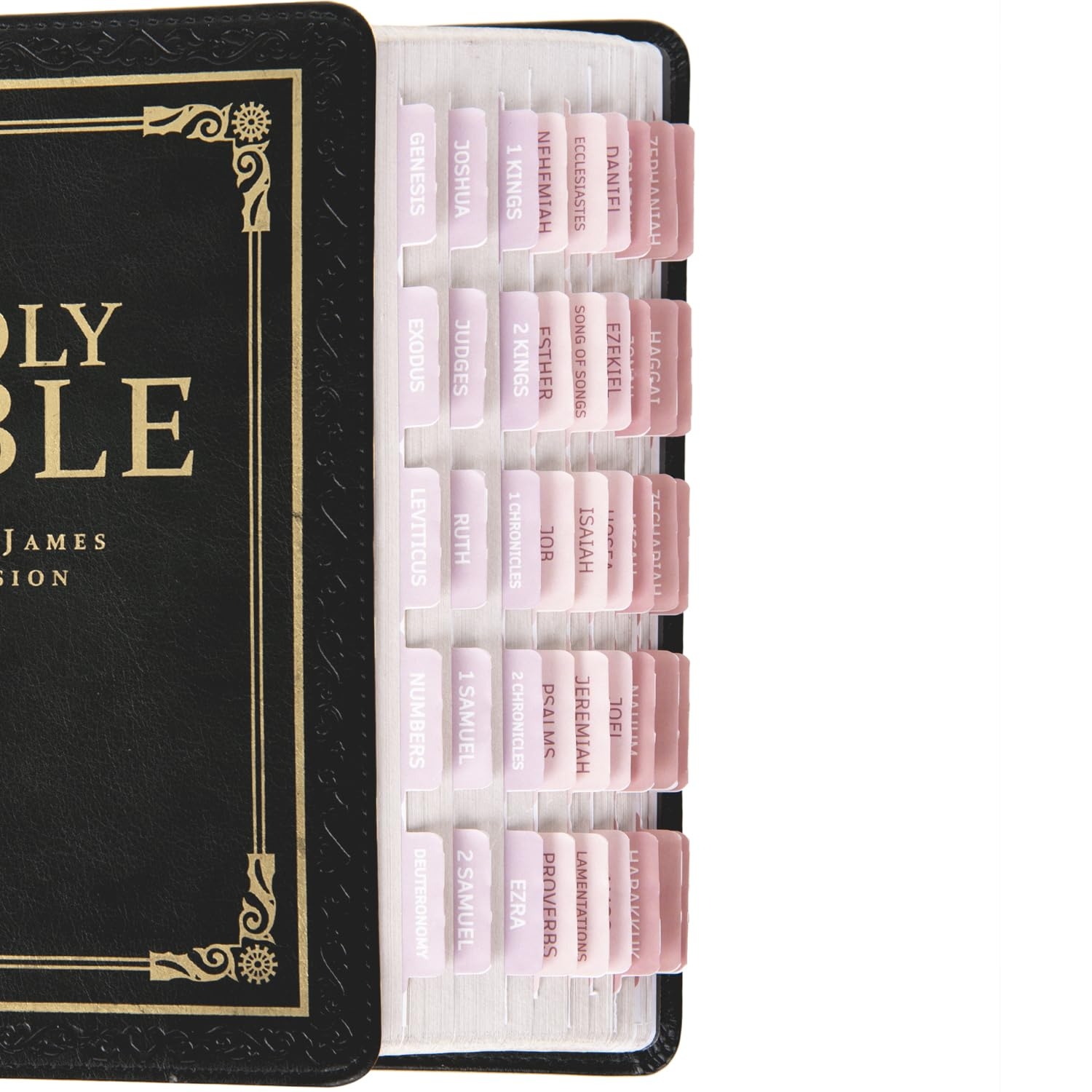 Bible Tabs Printable for Men