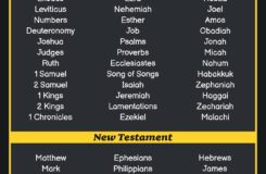 Books Of Bible Chart 12 Free PDF Printables Printablee