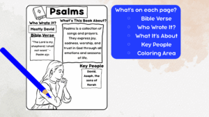 Books Of The Bible Fact Sheets For Kids 30 Printable Bible Worksheets For Learning Scripture Classful