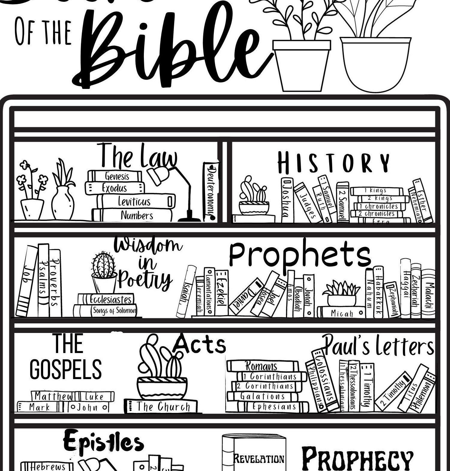 Books Of The Bible Printable Free Coloring Shop On Pinterest