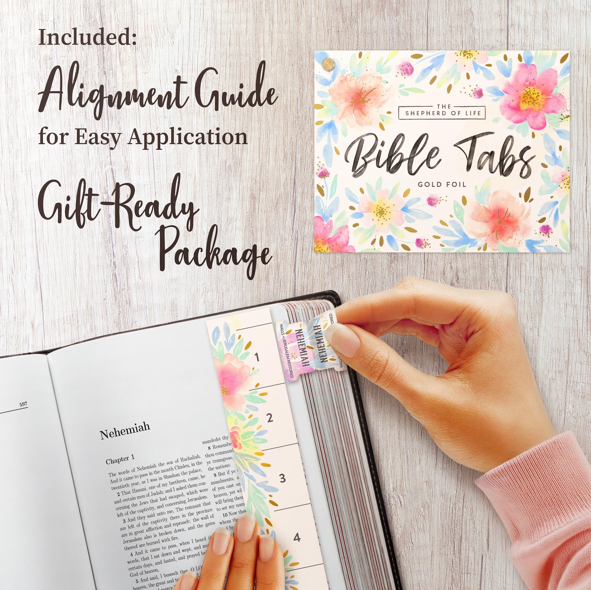 Free Printable Bible Book Summaries