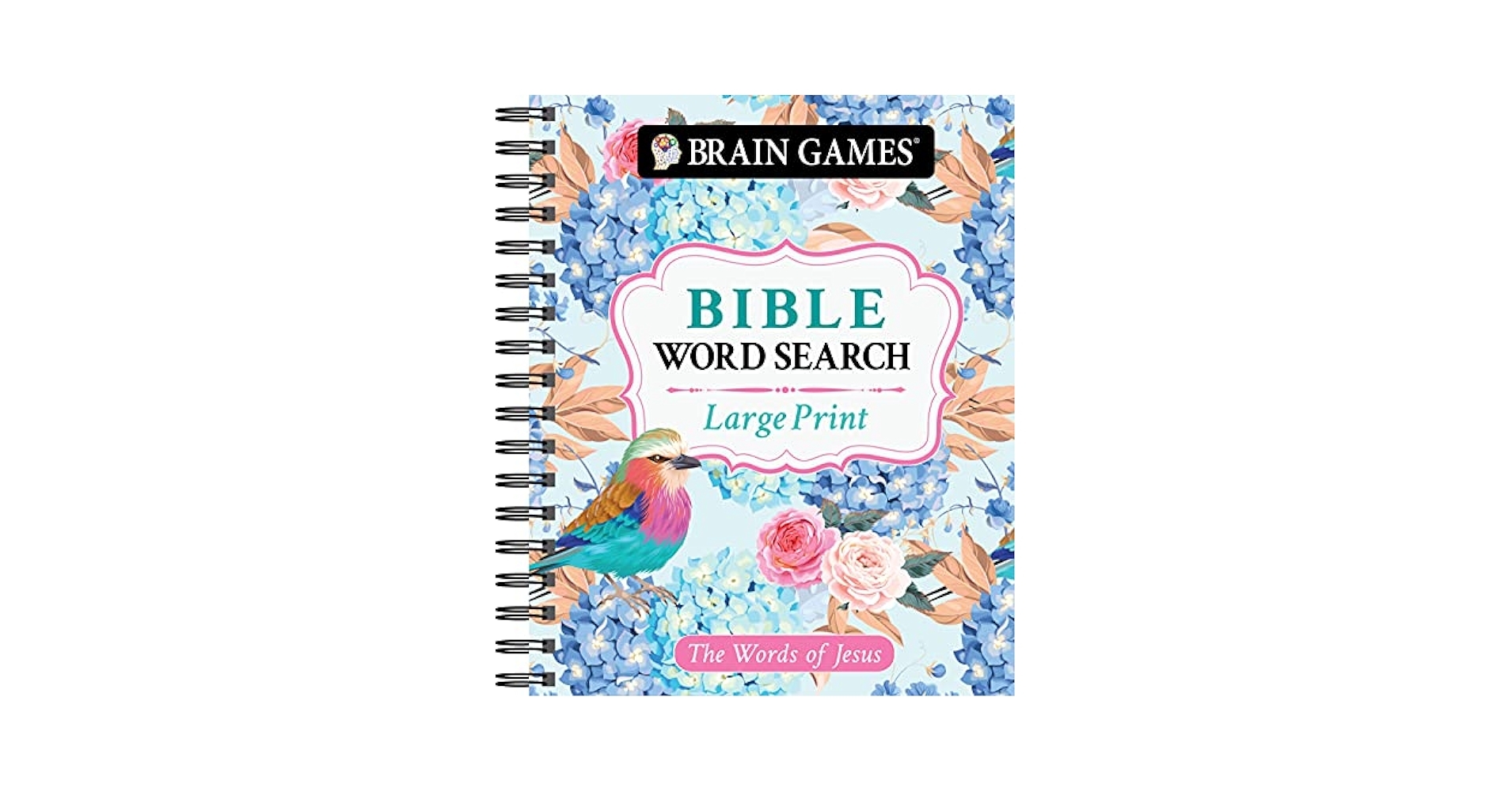 Brain Games Large Print Bible Word Search The Words Of Jesus Brain Games Bible Publications International Ltd Brain Games 9781645587750 Amazon Books